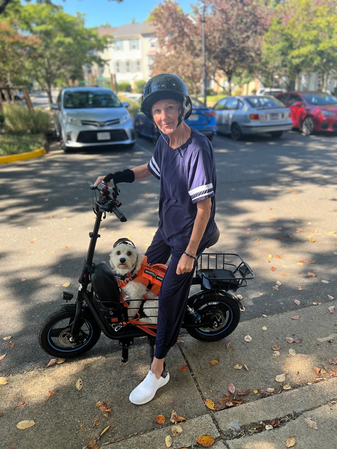 Customer photo review of Pet Cushion for  Electric Scooter (Set of 2)
