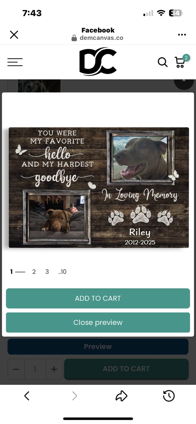 Customer photo review of Personalized Dog Memorial Gifts - Personalized Canvas Prints - You Were My Favorite Hello, Loss Of Dog Lover Gifts, Memorial Pet