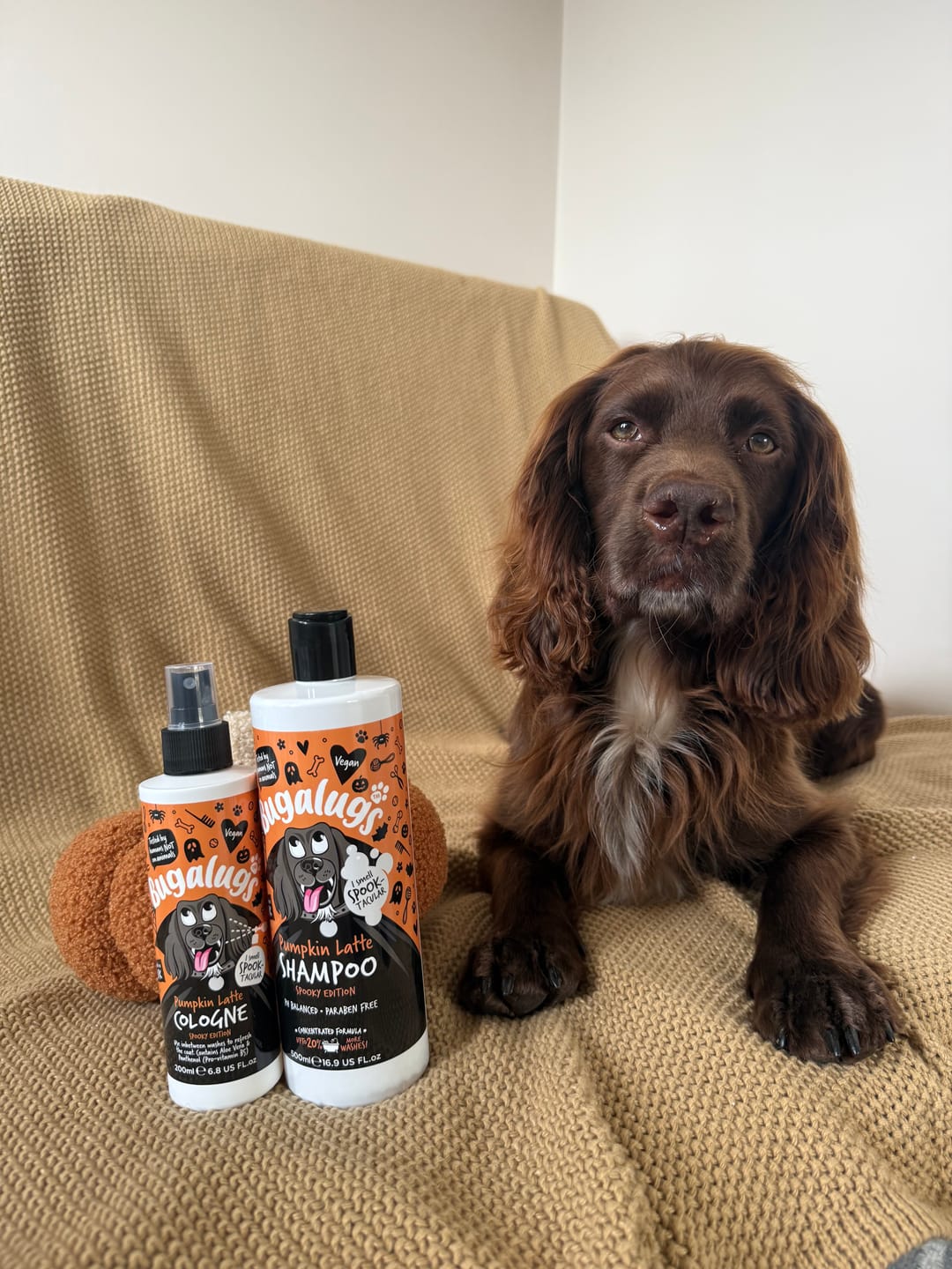 Customer photo review of Spooky Edition: Pumpkin Latte Bundle (Shampoo + Cologne)