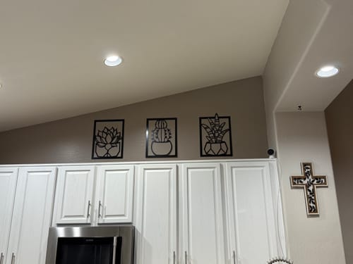 Customer photo review of Succulents - Metal Wall Art