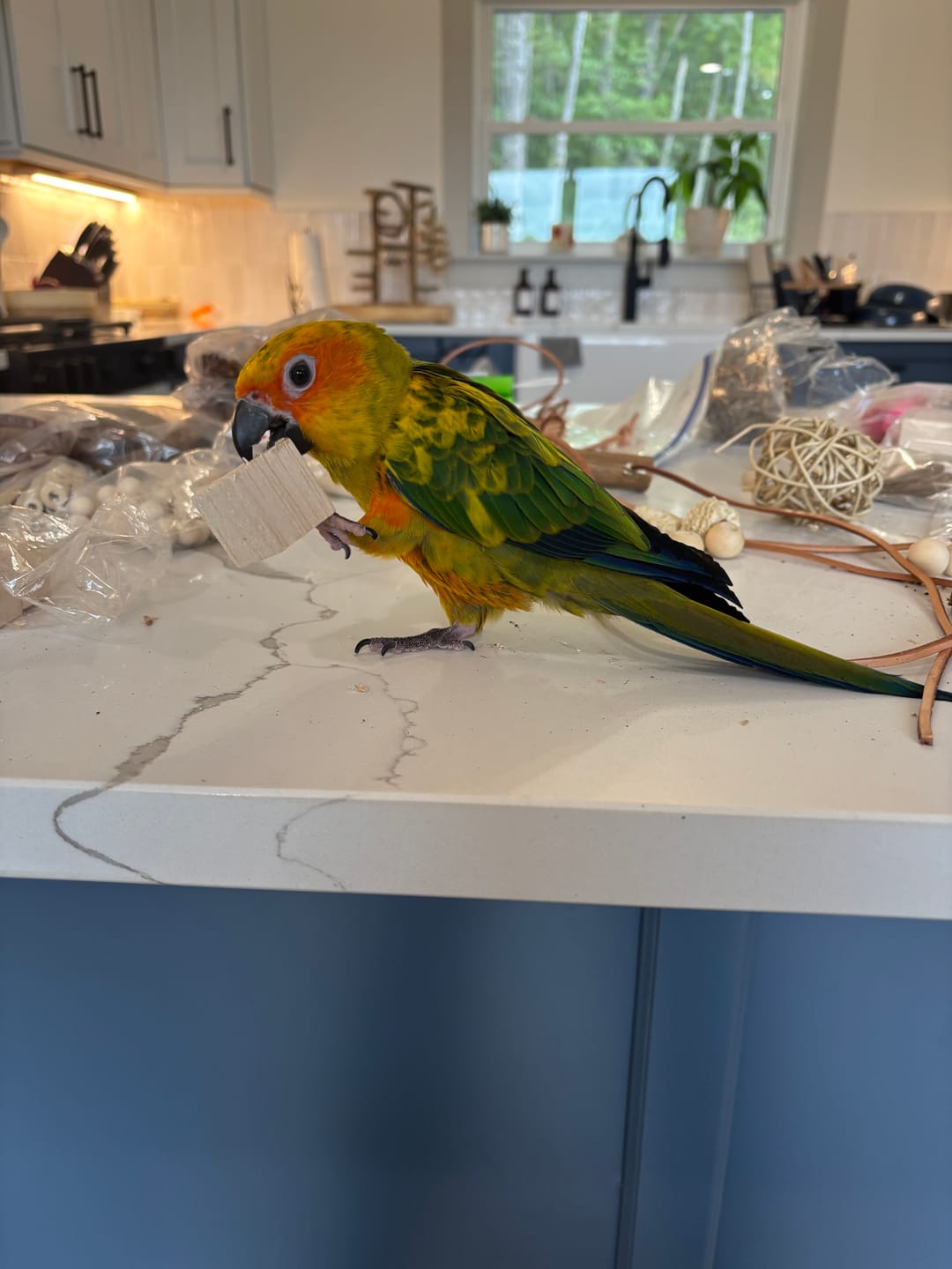 Customer photo review of 1" Natural Balsa Cubes - 10 Pack