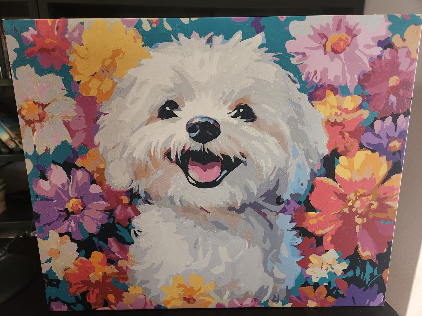 Customer photo review of Bichon Frise