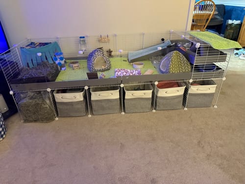 Customer photo review of 6x2 C&C Cage with Loft & Stand