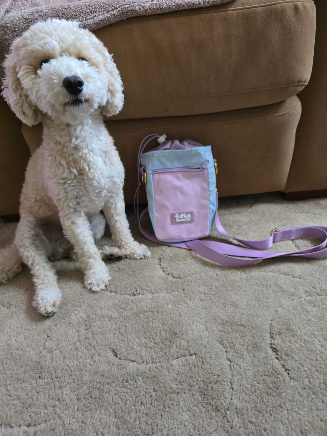 Customer photo review of Treat Pouch