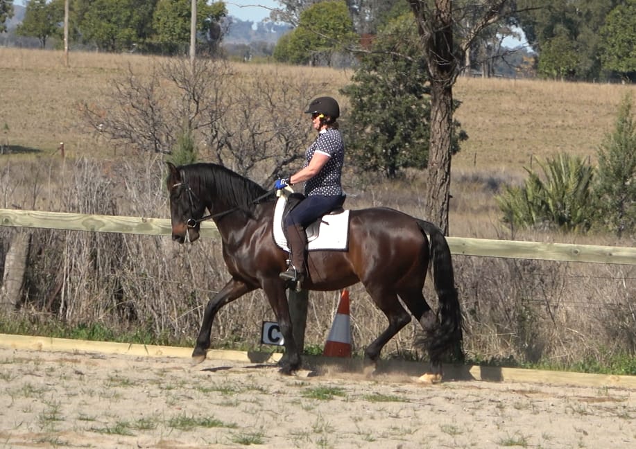Customer photo review of Digestive HP