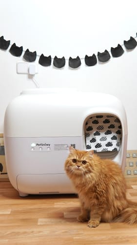 Customer photo review of Self-Cleaning Litter Box