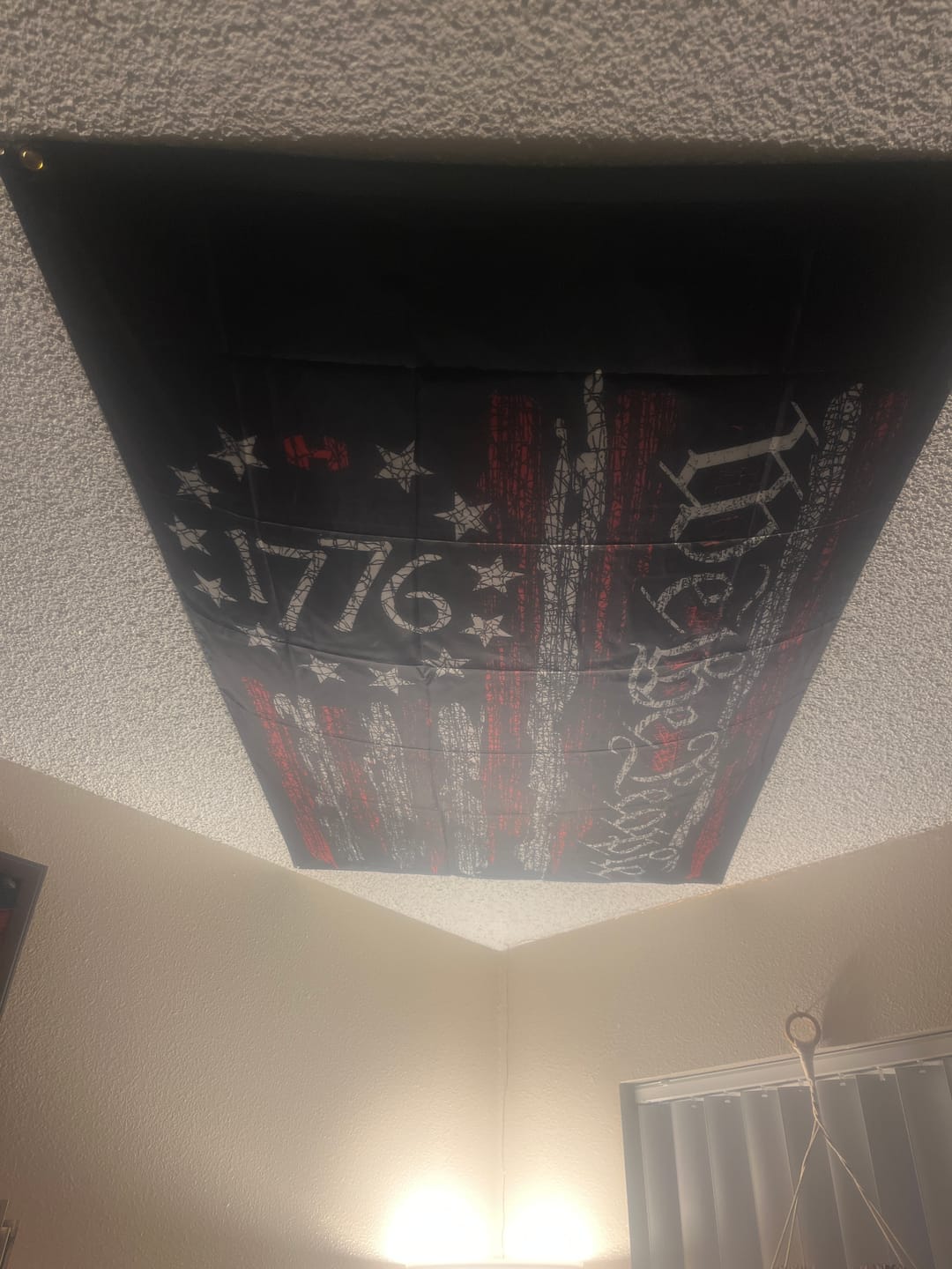 Customer photo review of We The People 1776 Flag