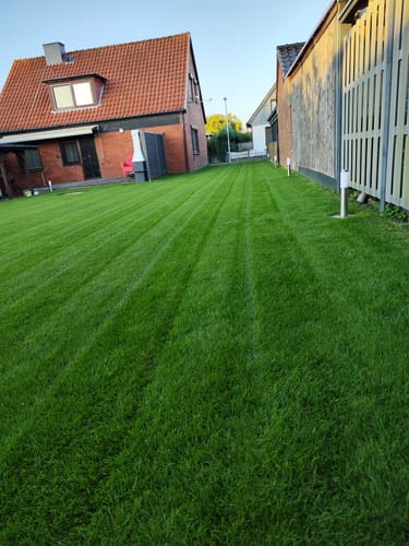 Kundenbewertung mit Foto zu RASENBLITZ™ - SOMMERDÜNGER