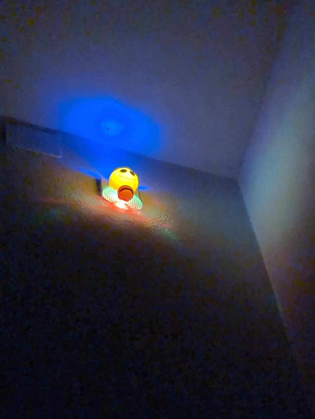 Customer photo review of Lampa de veghe LED ALBINUTA Senzor