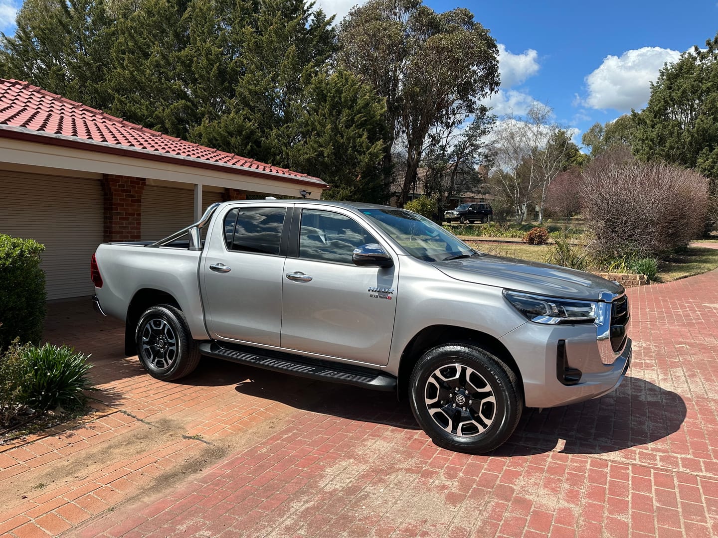 Customer photo review of Wheel Cleaner