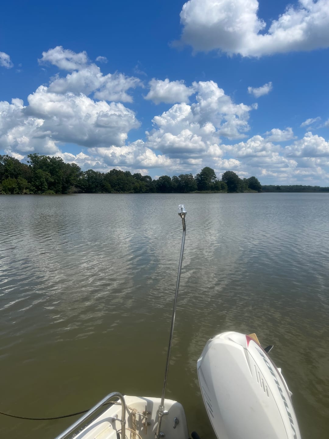 Customer photo review of Boston Whaler Classic Stern Light, Anchor Light (LED) 316 Stainless