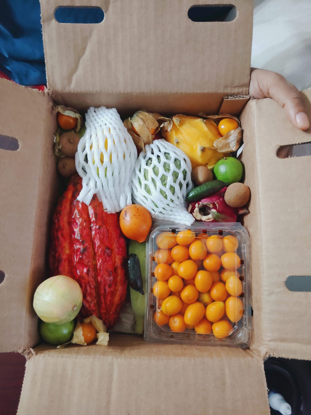 Customer photo review of Variety Box