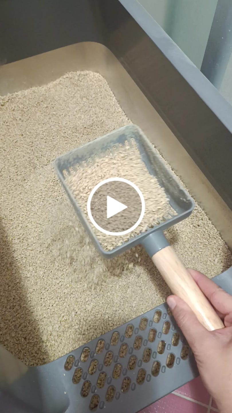 Customer video review of LittyBag - La Prima Sabbietta Naturale a Clumping Superficiale