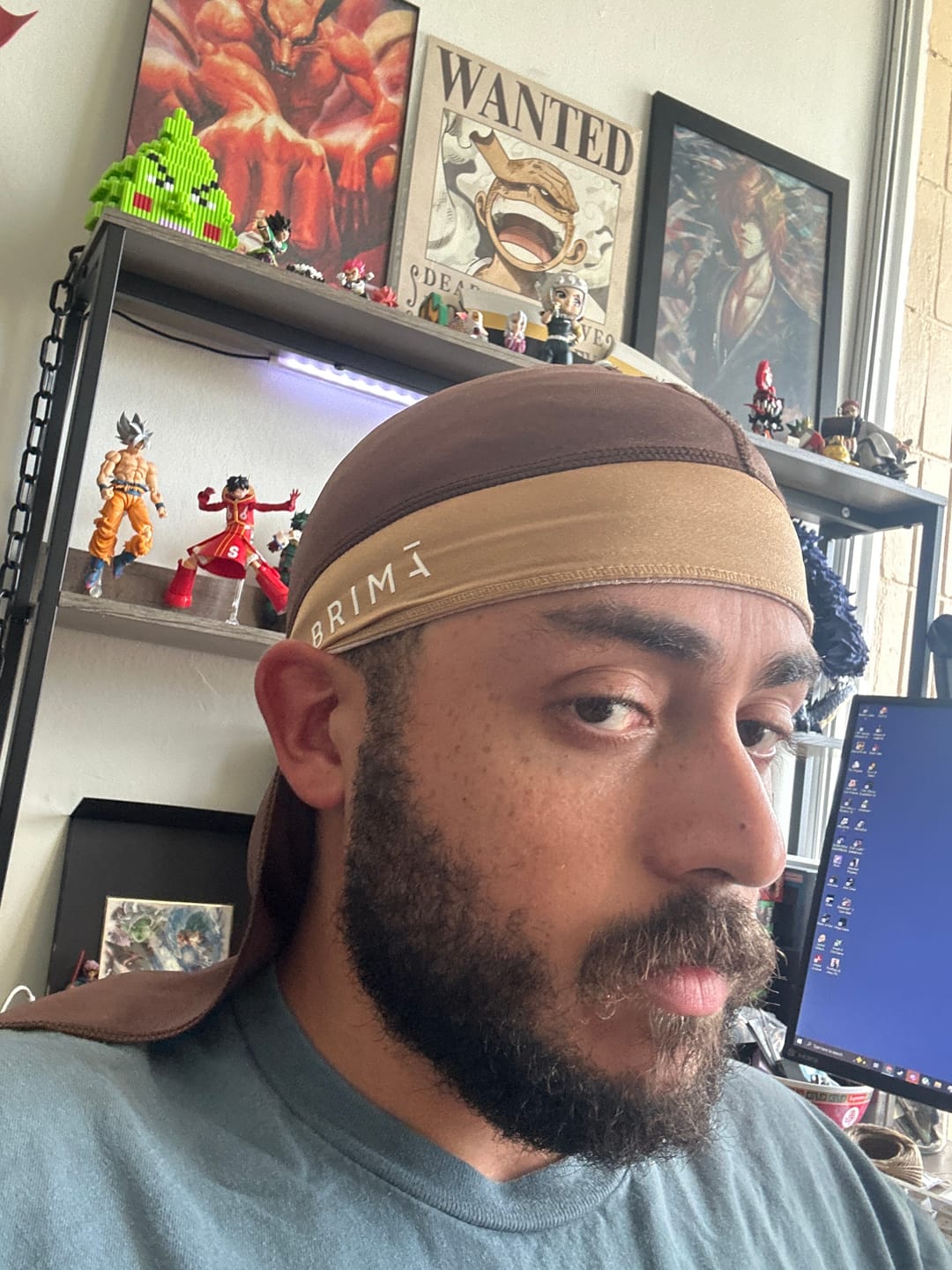 Customer photo review of SOL