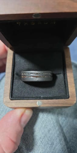 Customer photo review of The Meteorsaur