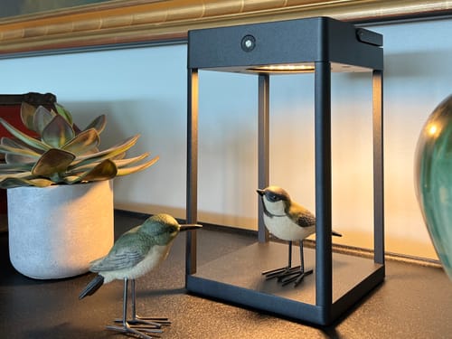 Customer photo review of Luxury Metal Solar Lantern