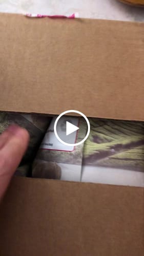 Customer video review of Metabolic Protein - Collagene Grass fed - Gusto Cacao