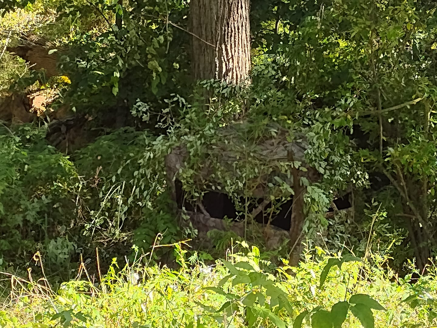 Customer photo review of VisTrilogy 4-6 Person See-Through Deer Turkey Hunting Ground Blinds