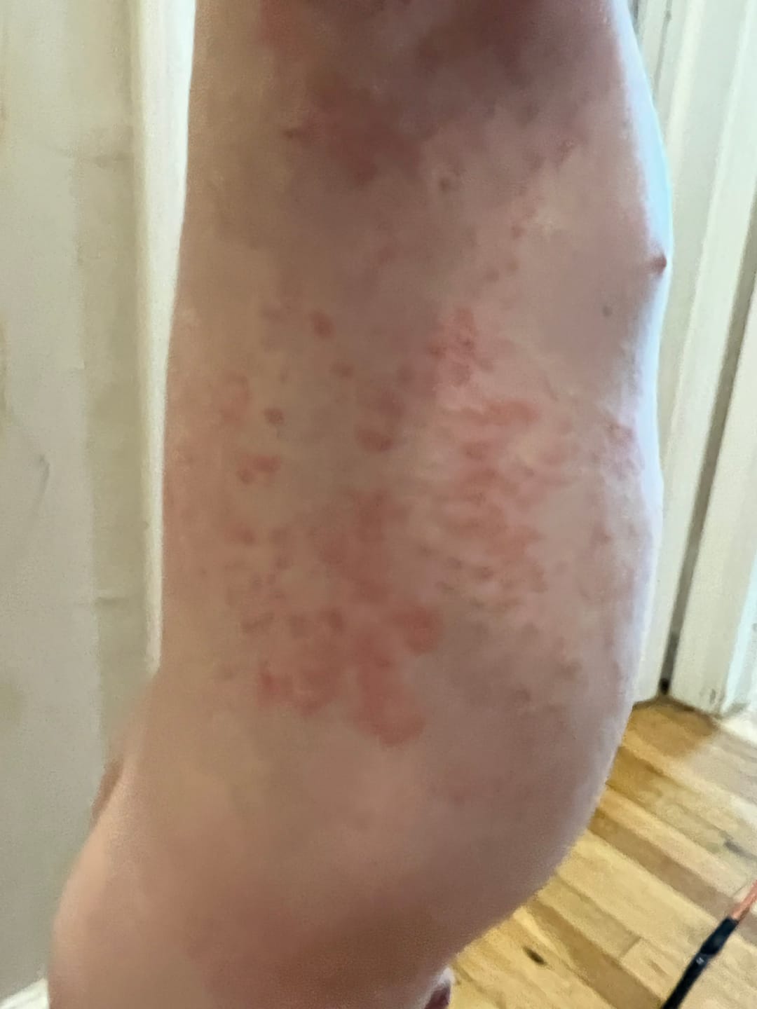 Customer photo review of Children’s Gut Rebalance Kit
