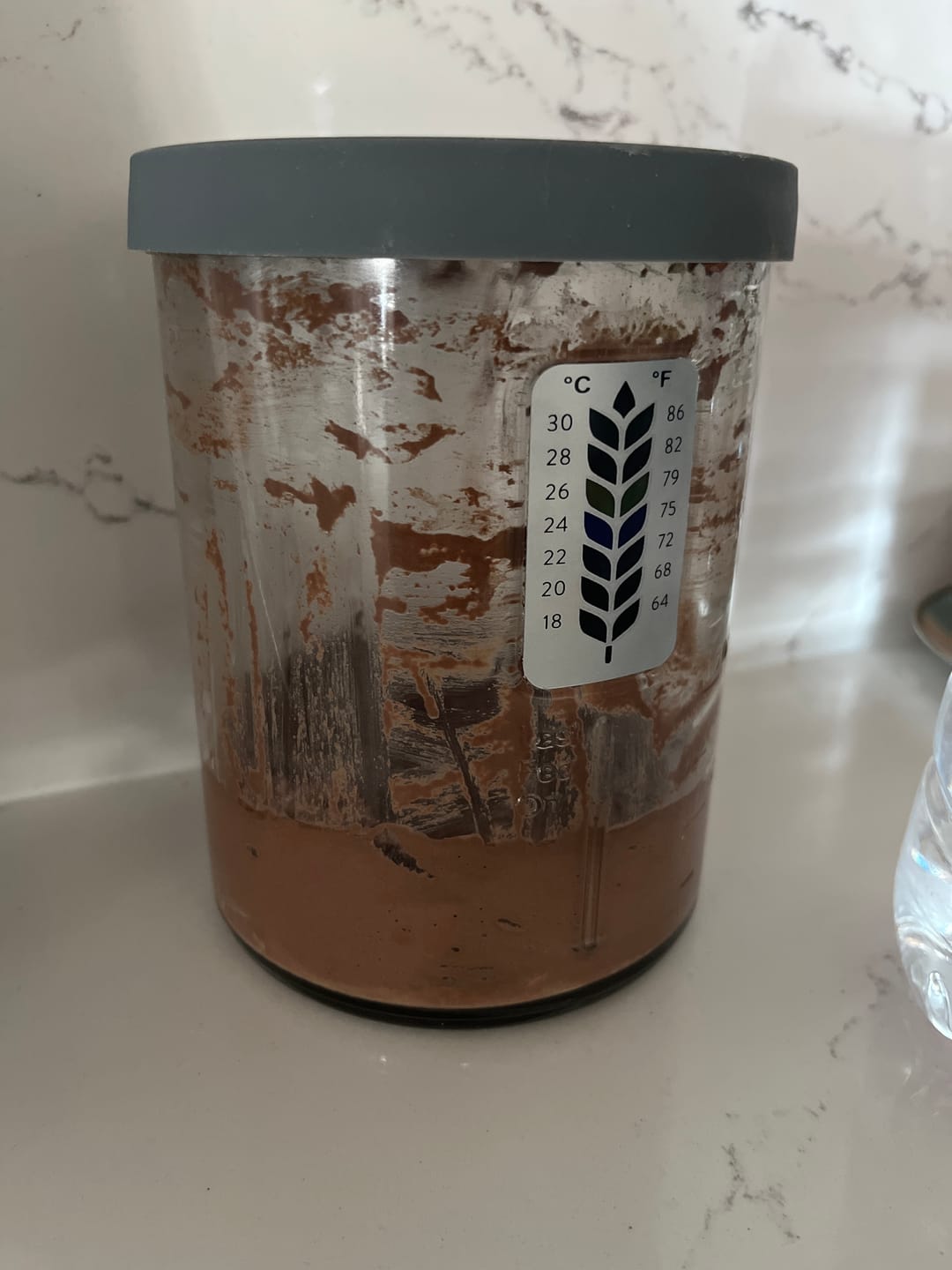 Customer photo review of Little Ranch Family's Live 118 Year Old Valrhona CHOCOLATE Sourdough Starter