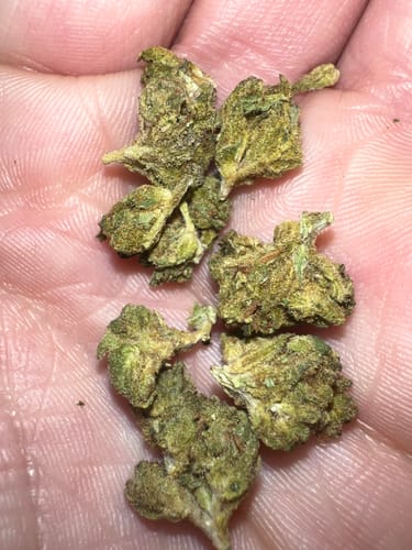 Customer photo review of Mixed Strain THCA Smalls + Shake