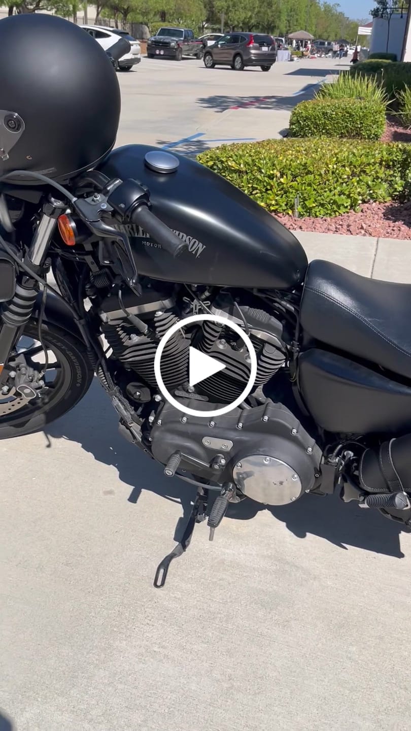 Customer video review of 3L - Crafted Harley Sportster Specific Motorcycle Swing Arm Bag