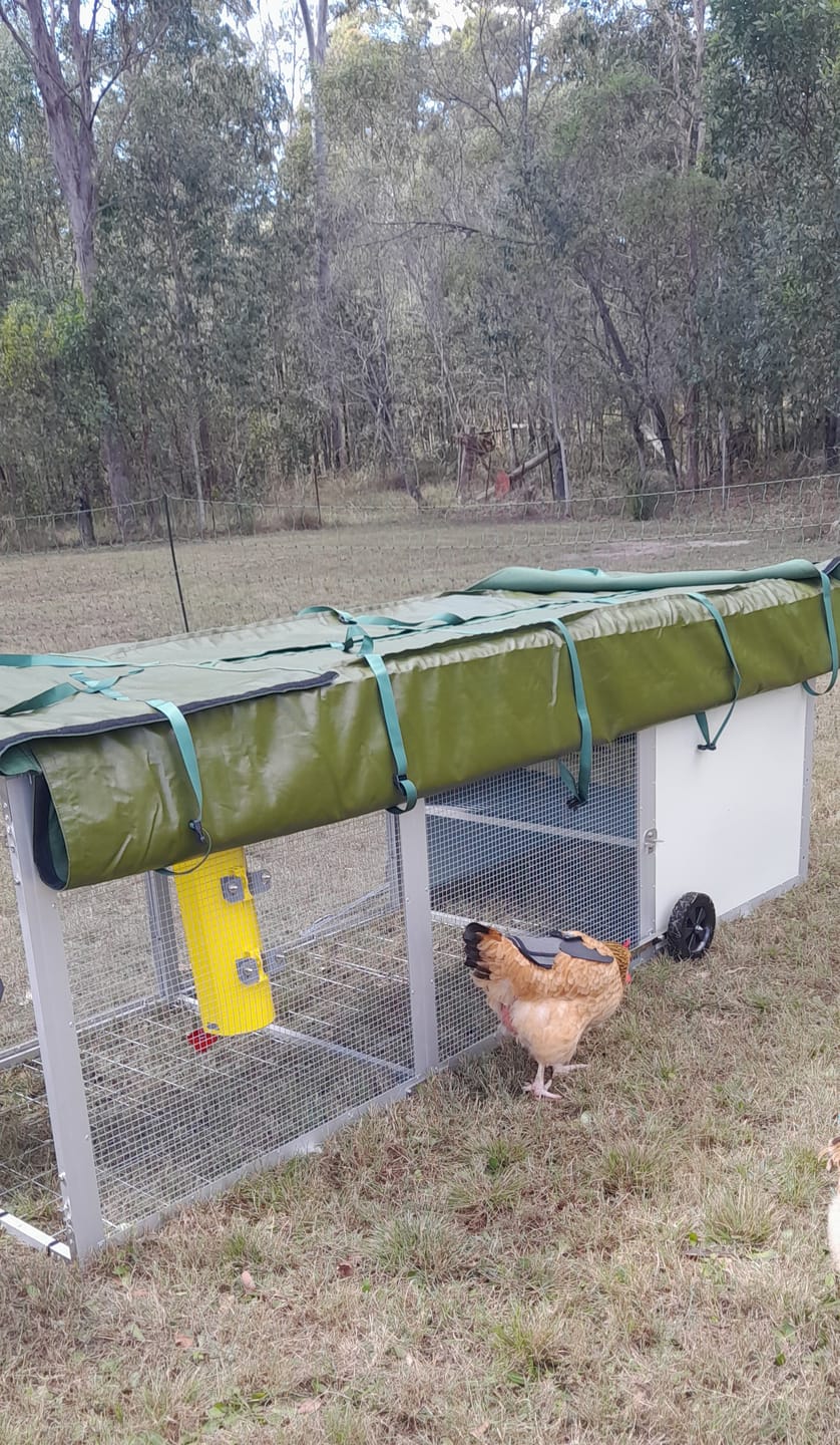 Customer photo review of Canvas Cover for Chicken Coop / Chicken Tractor