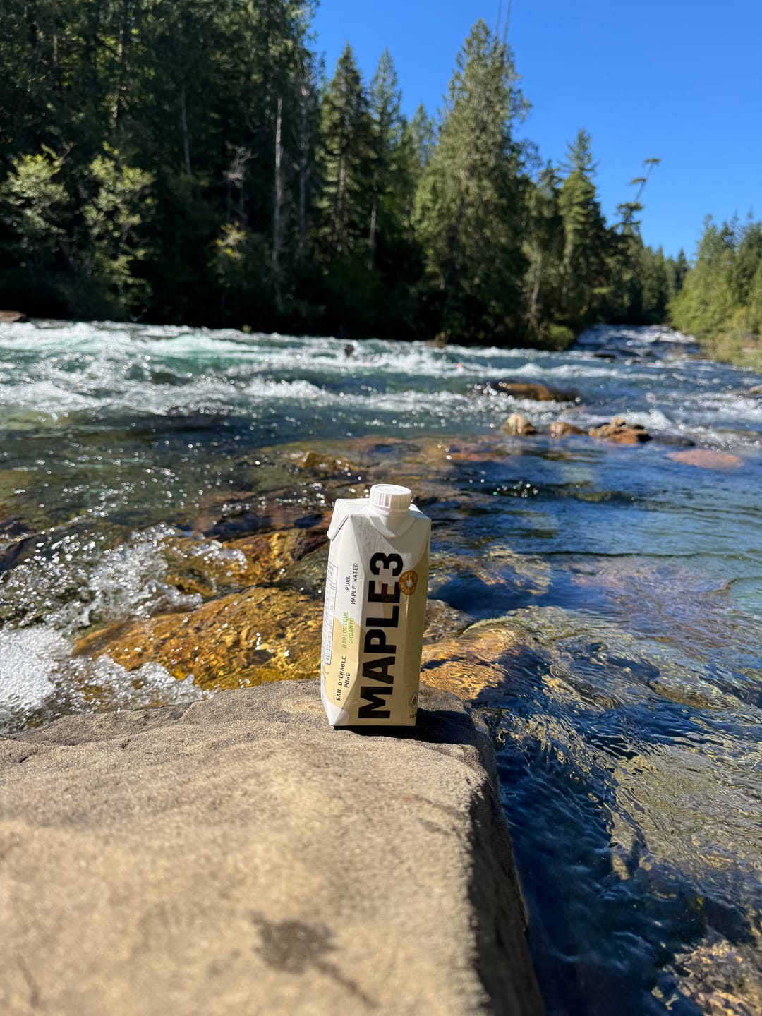 Customer photo review of Pure Organic Maple Water
