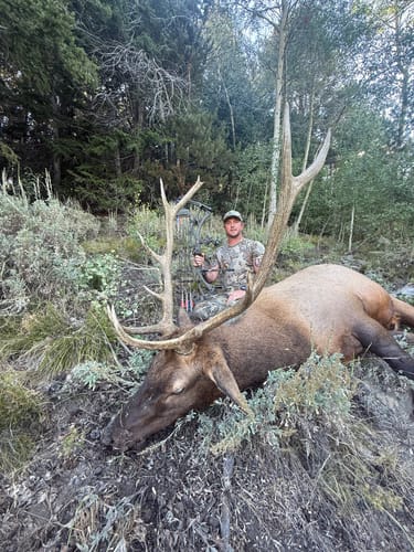 Customer photo review of Aluminum Broadheads