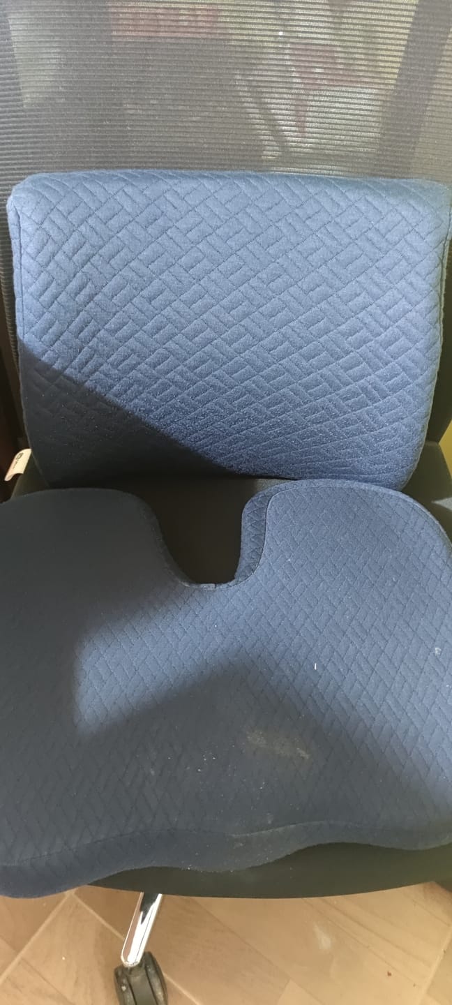 Customer photo review of Back Support Pillow - Rolo