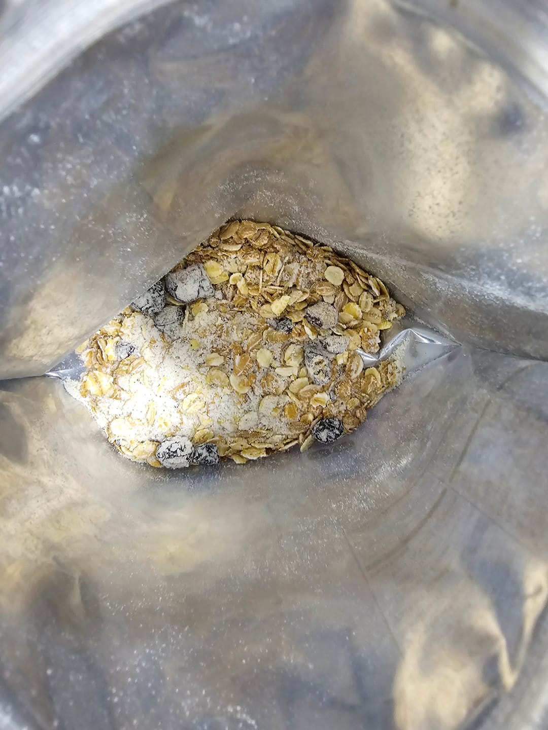 Customer photo review of Daybreak Coconut Blueberry Multi-Grain