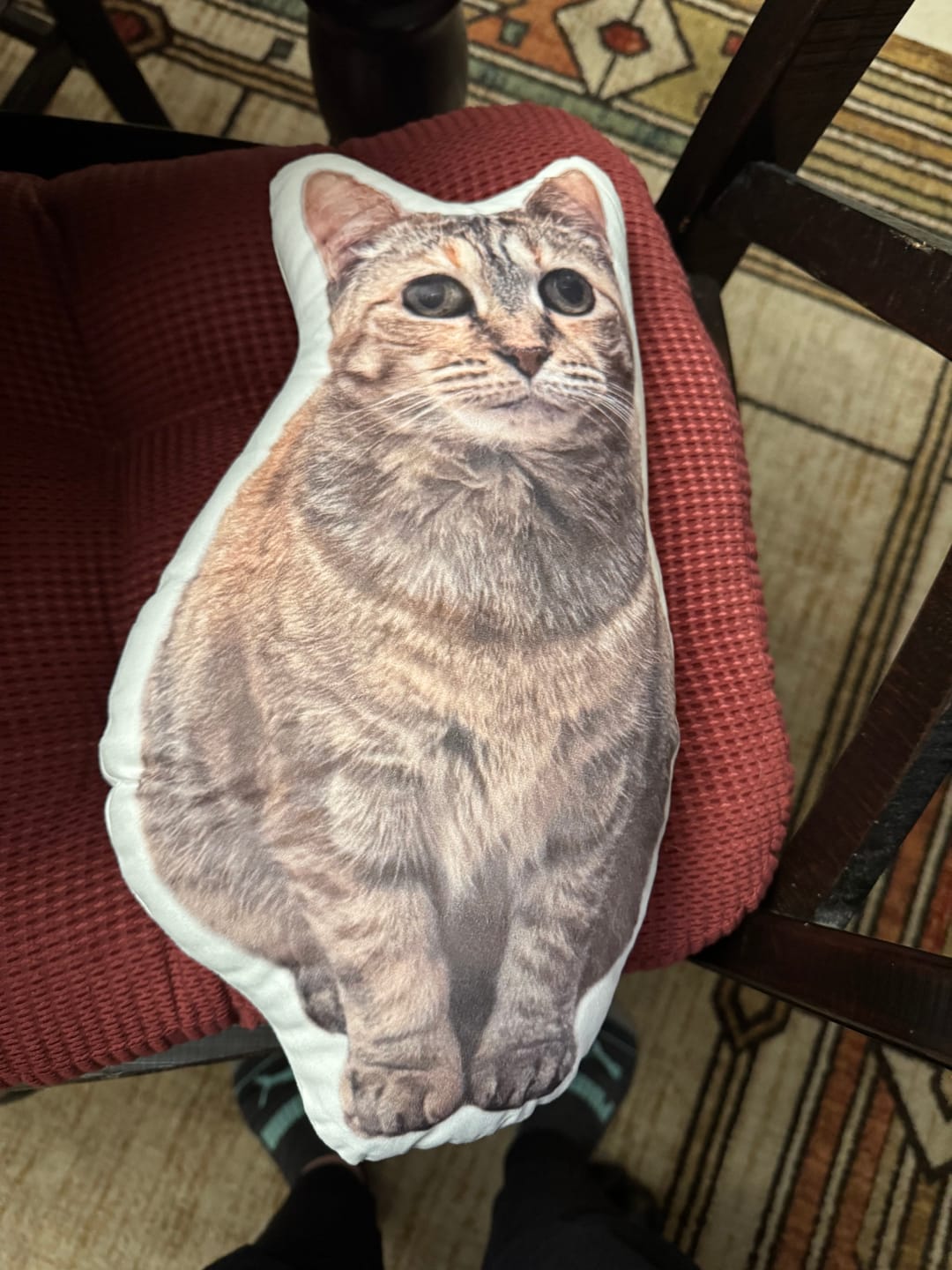 Customer photo review of Custom Pet Shaped Pillow that Look Like your Pet - ThePetPillow