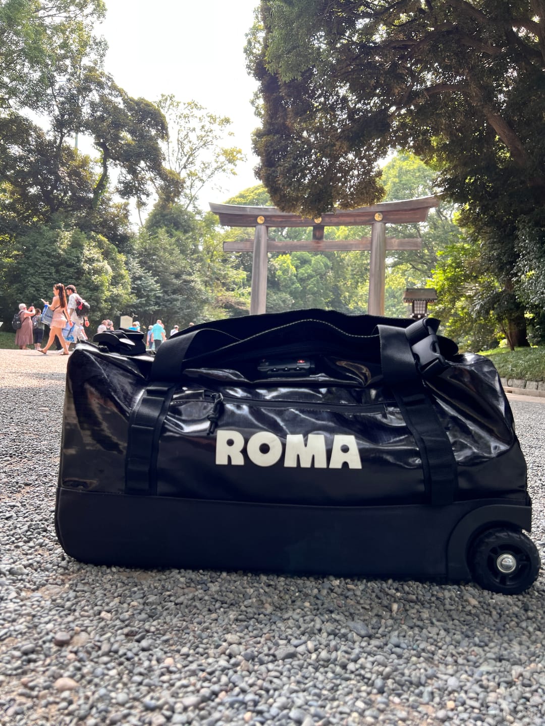 Customer photo review of The Roma Bag™