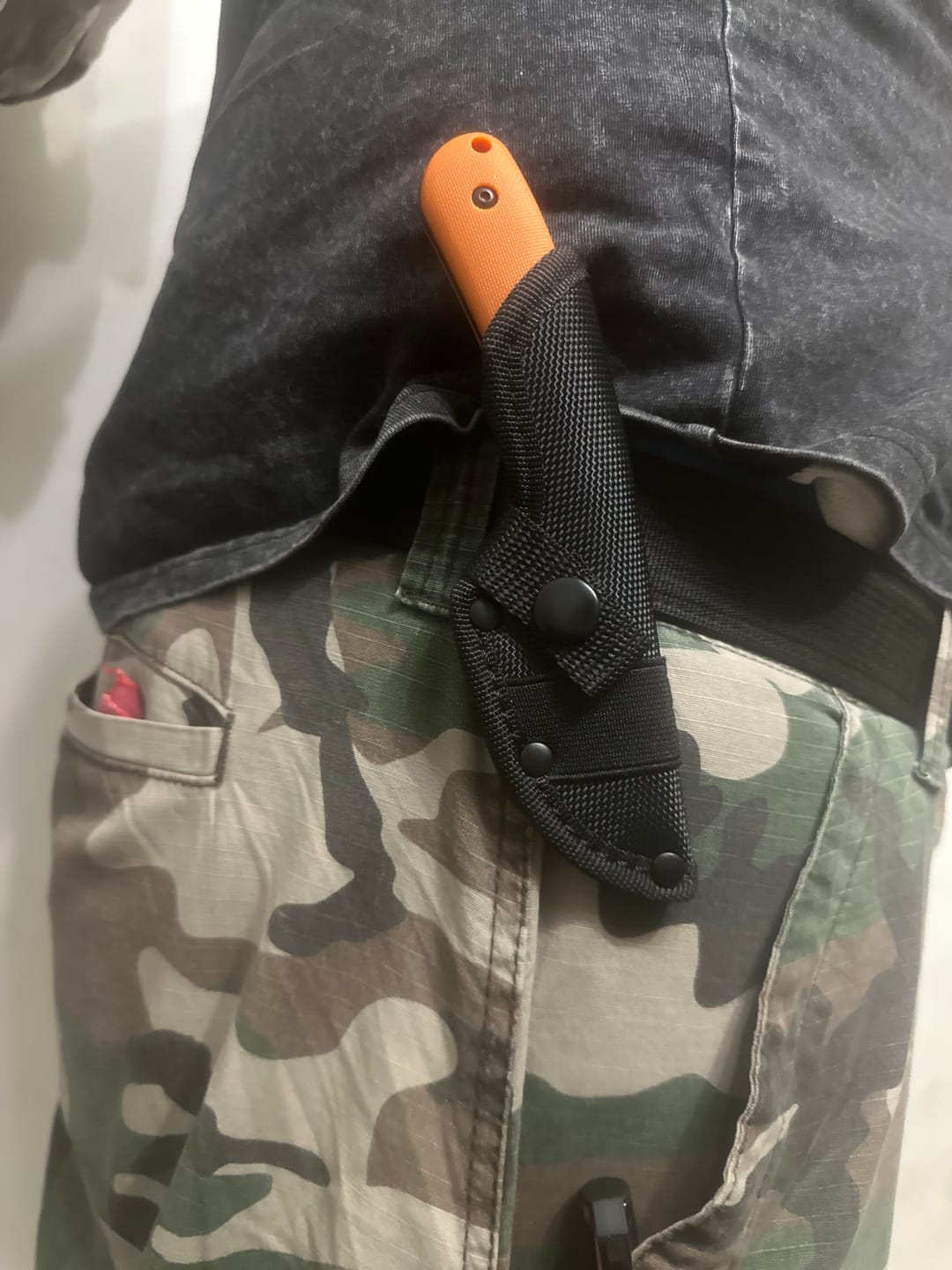 Customer photo review of Scorpion - Orange
