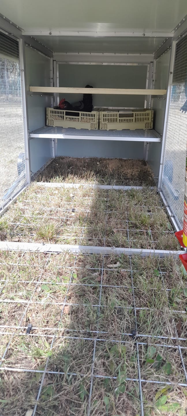 Customer photo review of Galvanised Mesh Floor for Chicken Coop