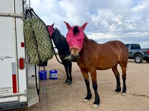 Customer photo review of Hay Chix® Half Bale Net