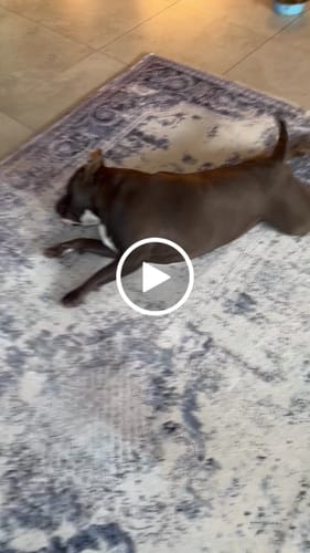 Customer video review of The Mellow Mat v2® Designer Print | Frosthaven (Soft Touch Sensory Tatami Rug) PR11