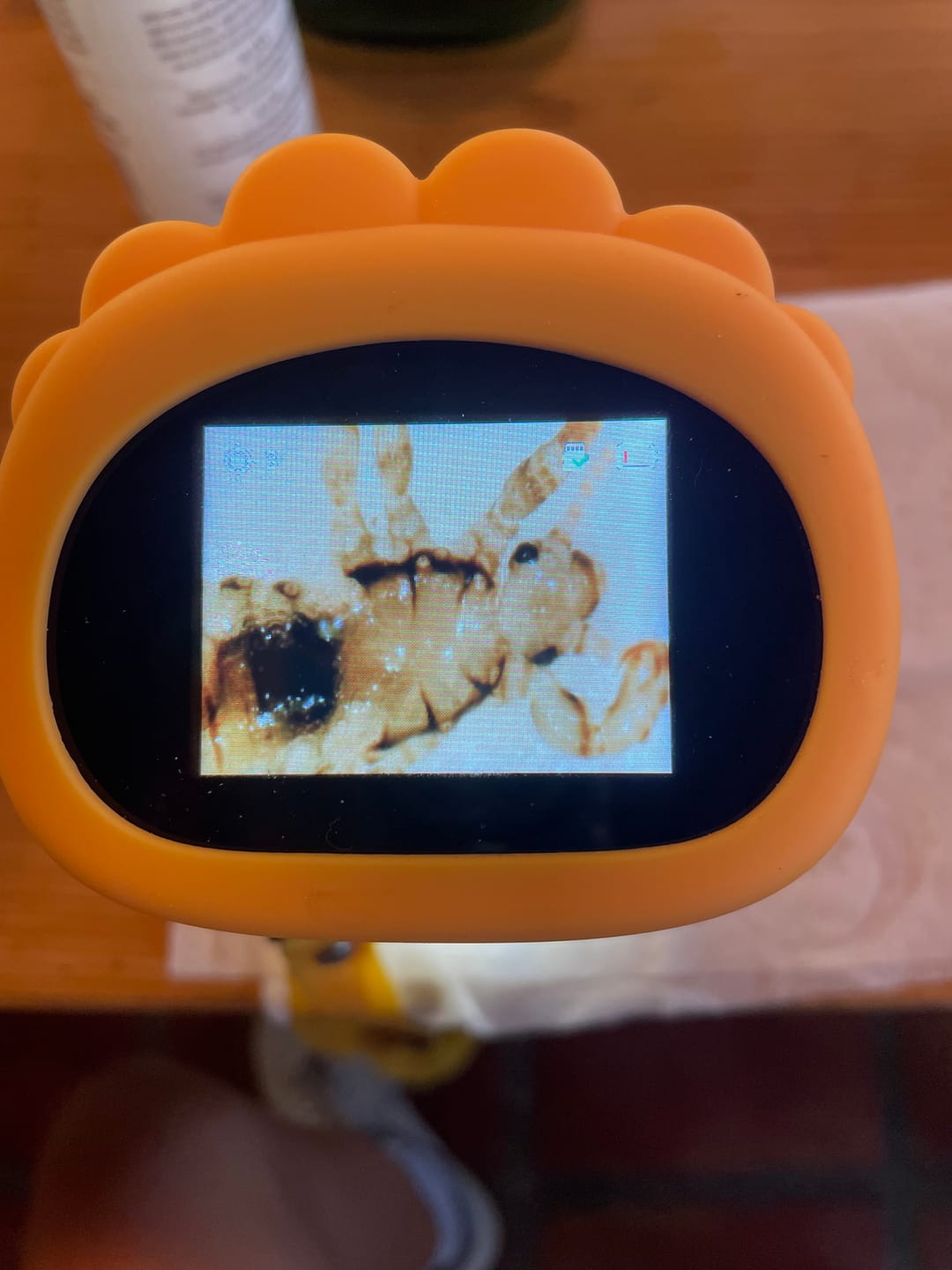 Customer photo review of The Miniscope Pro
