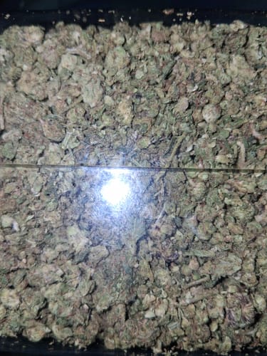 Customer photo review of Gumbo THCA Flower Smalls