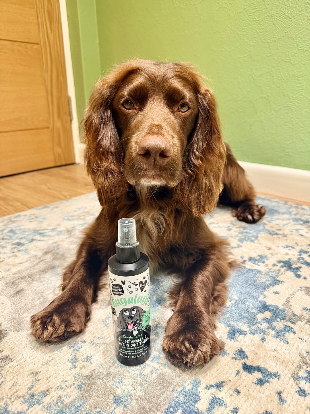 Customer photo review of 2 in 1 Tangle Tame Detangler & Leave in Conditioner with Avocado & Coconut for Dogs