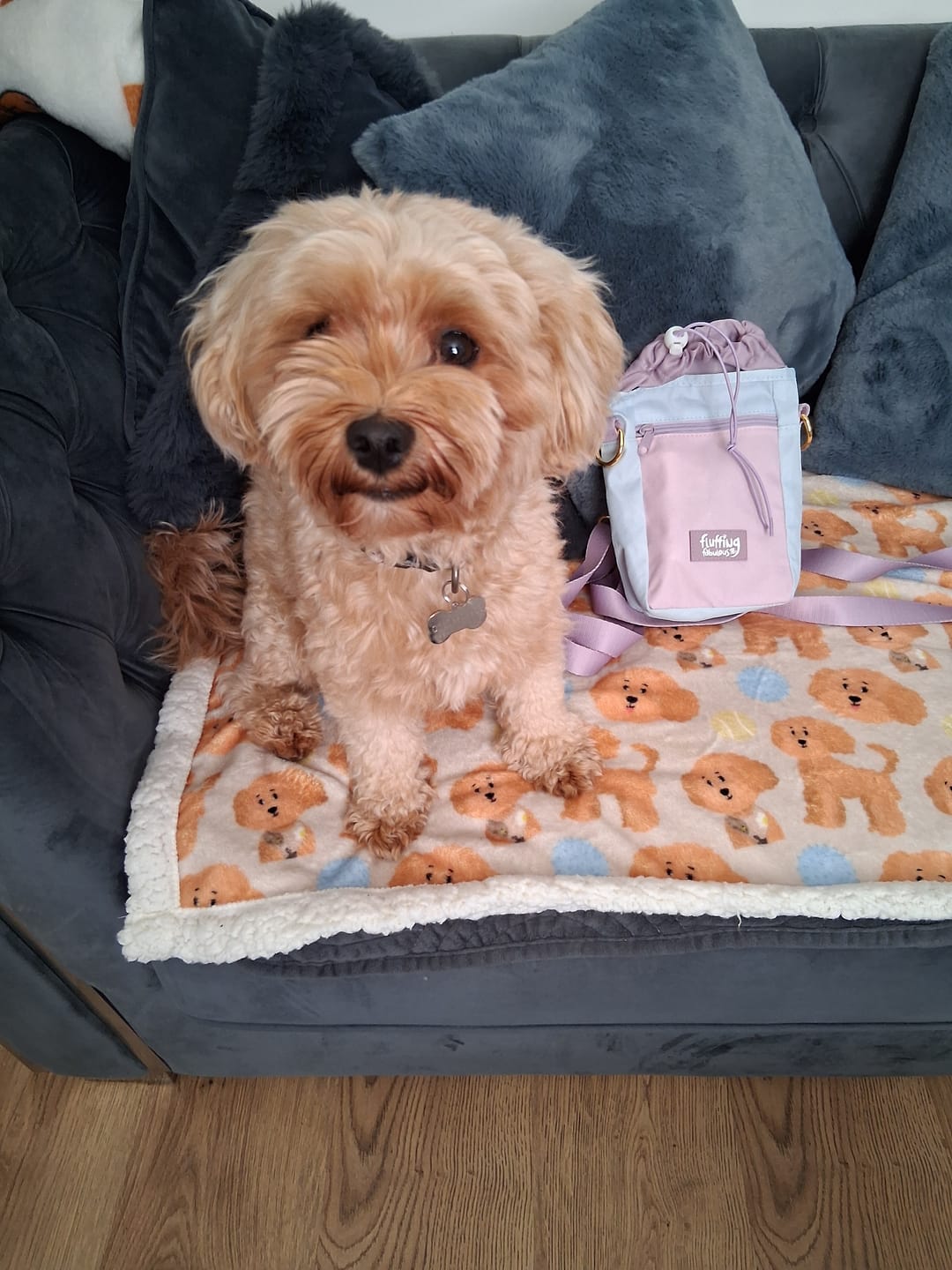 Customer photo review of Treat Pouch