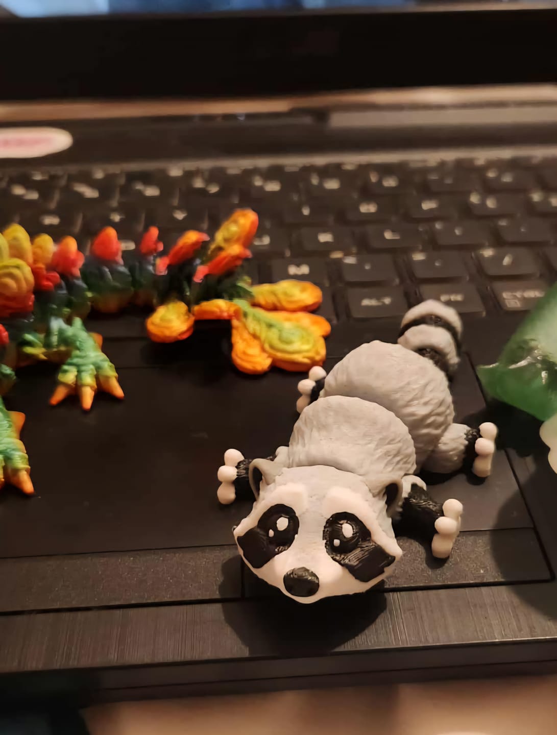 Customer photo review of Raccoon