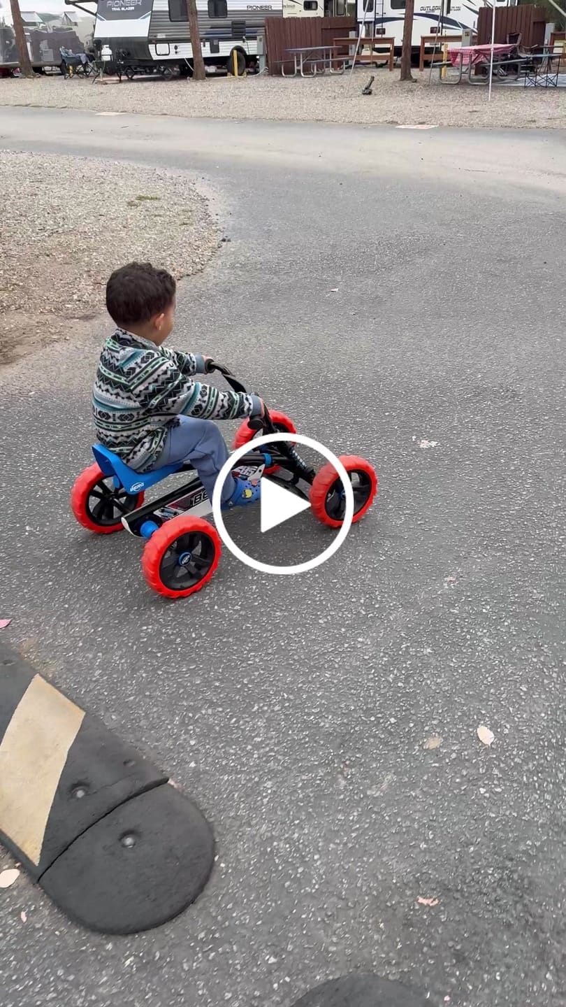 Customer video review of BERG Buzzy