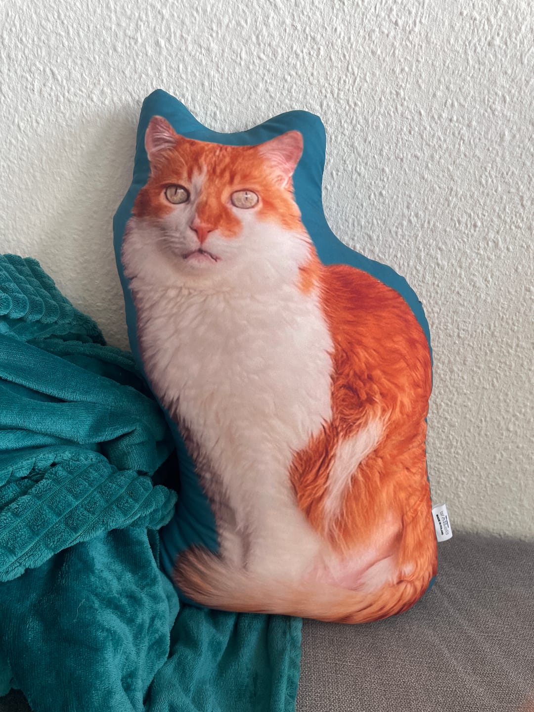 Customer photo review of Personalisiertes Katzenkissen