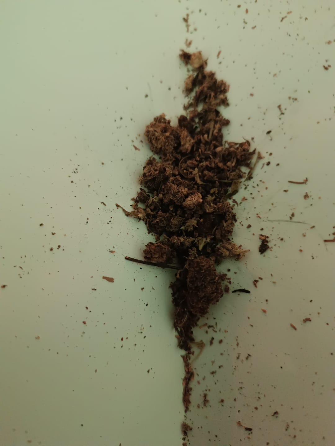 Customer photo review of 🍃 Blütenmix - POWER LVL: 4/5