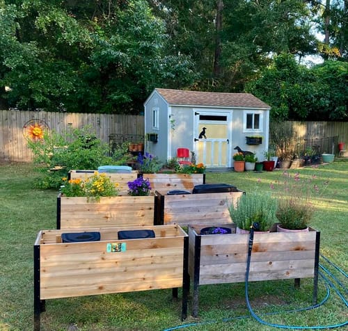 Customer photo review of 18" x 48" Raised Garden Bed - 30" TALL