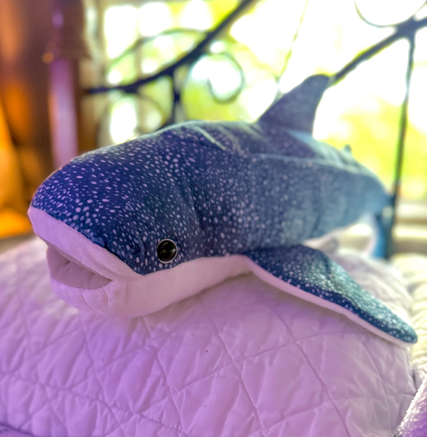 Customer photo review of Realistic Whale Shark Plush Toy – Soft and Stunning Marine Companion