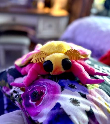 Customer photo review of Realistic Rosy Maple Moth Plush – Soft, Lifelike, and Perfect for Nature Lovers