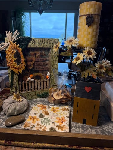 Customer photo review of Tiny Pumpkin Pal Mouse - Rolling 146