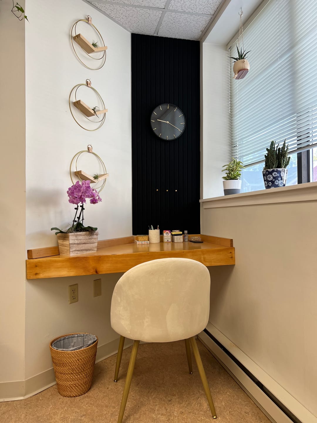 Customer photo review of Air Plant V-Hanger Trio